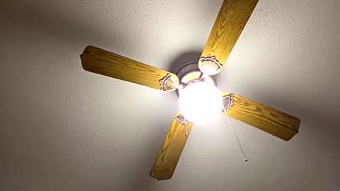 Snapshot of red24devils chatting on September 2025 06:59:02 AM red24devils online show from September 2025 06:59:02 AM