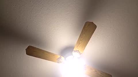 Snapshot of red24devils chatting on December 2025 05:04:02 AM red24devils online show from December 2025 05:04:02 AM