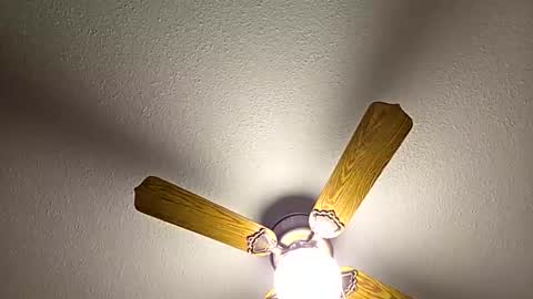 Snapshot of red24devils chatting on February 2026 12:50:02 AM red24devils online show from February 2026 12:50:02 AM