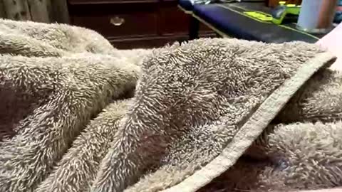 Snapshot of red35377 chatting on March 2026 02:38:02 AM Red online show from March 2026 02:38:02 AM