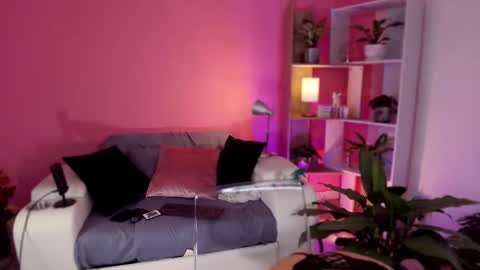 Red Jasmine online show from February 2025 11:46:02 PM