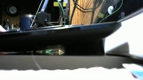 Snapshot of redneck1956 chatting on January 2025 01:25:02 PM redneck1956 online show from January 2025 01:25:02 PM