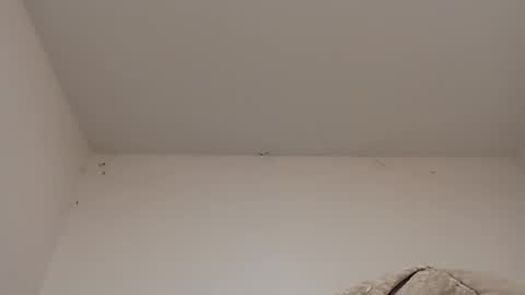 rednicedick online show from January 2025 06:42:01 AM