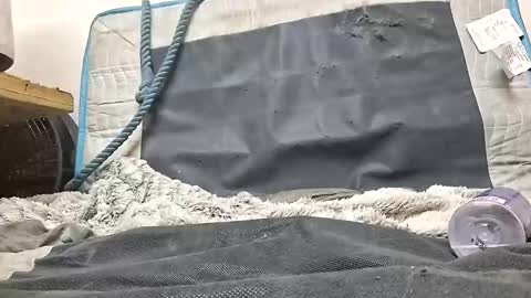 rednicedick online show from October 2025 01:17:02 AM