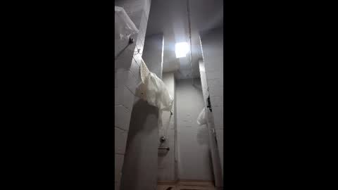 Snapshot of reeddave654 chatting on February 2026 06:56:02 AM reeddave654 online show from February 2026 06:56:02 AM