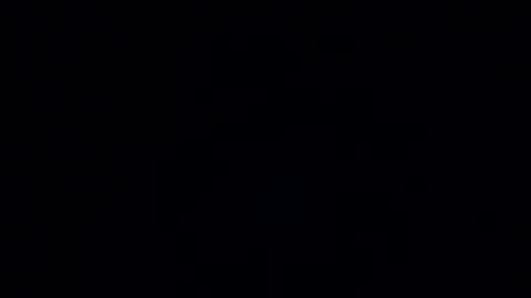 regine24 online show from July 2026 01:48:02 PM