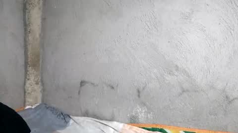 regine24 online show from July 2026 10:42:01 PM