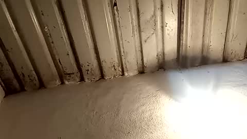 Snapshot of reinft chatting on February 2026 02:16:01 AM reinft online show from February 2026 02:16:01 AM