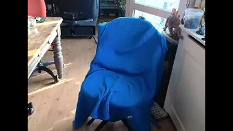 Snapshot of relaxyio chatting on March 2025 07:42:02 AM relaxyio online show from March 2025 07:42:02 AM