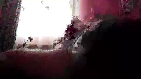 remus60 online show from February 2026 10:12:01 AM