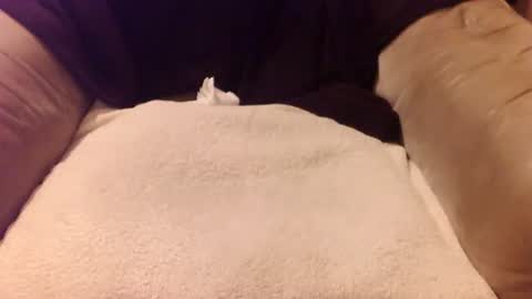 Mark online show from December 2024 11:49:01 PM