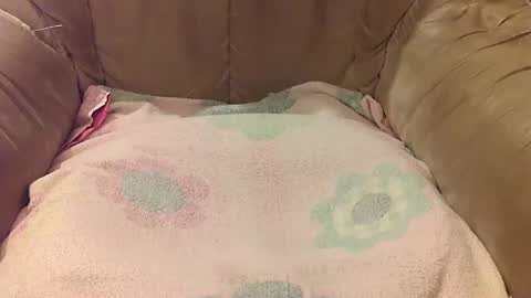 Mark online show from September 2025 05:47:02 PM