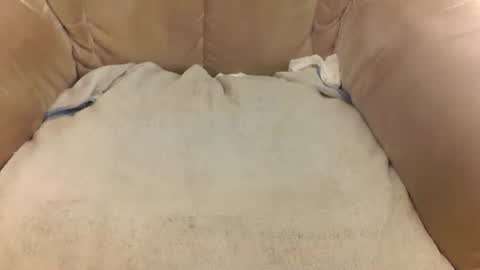 Snapshot of rexxarr chatting on March 2026 08:07:01 AM Mark online show from March 2026 08:07:01 AM