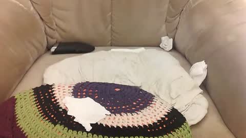 Snapshot of rexxarr chatting on April 2026 07:45:01 AM Mark online show from April 2026 07:45:01 AM