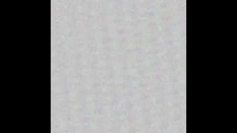 Reynspen online show from November 2025 02:43:02 AM