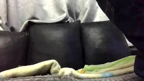 Babu online show from February 2026 02:15:02 AM