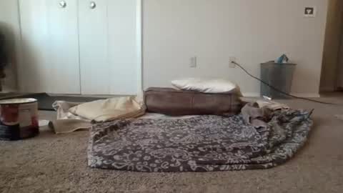 rickydickyskull online show from June 2026 06:17:01 PM