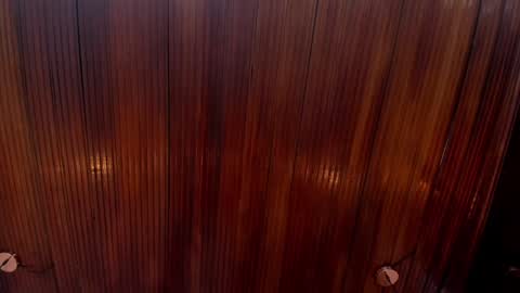 kamila online show from December 2024 02:12:01 PM