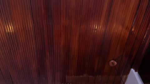 kamila online show from January 2025 02:13:01 PM