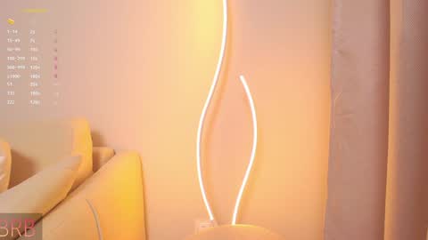 Snapshot of rinassecret chatting on December 2024 05:29:02 AM Rina online show from December 2024 05:29:02 AM