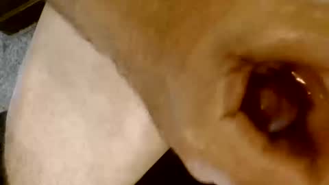 Snapshot of risingphoenix23 chatting on October 2025 09:26:02 PM risingphoenix23 online show from October 2025 09:26:02 PM