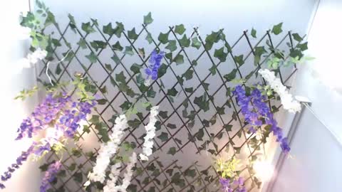 Risitos De Oro online show from April 2026 10:12:02 PM