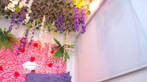 Risitos De Oro online show from April 2026 02:14:02 AM