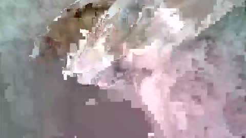 ritto44 online show from April 2026 09:47:01 AM