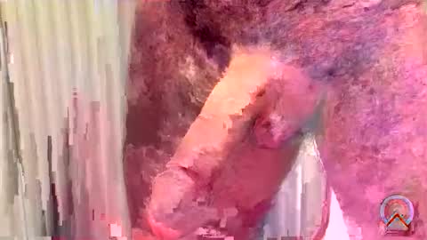 ritto44 online show from May 2026 11:01:04 PM