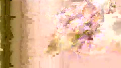 rlevey33 online show from April 2026 05:07:02 AM