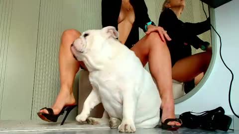 Sasha online show from April 2026 07:14:01 AM