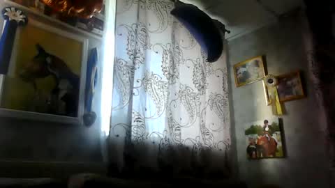 Snapshot of rob18997 chatting on November 2025 10:54:02 AM rob18997 online show from November 2025 10:54:02 AM