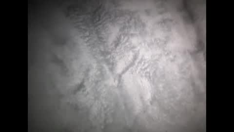 robertsaiz4200 online show from March 2026 08:31:02 AM