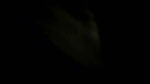 Snapshot of robertsmethurst chatting on May 2026 06:09:01 PM Johnny online show from May 2026 06:09:01 PM