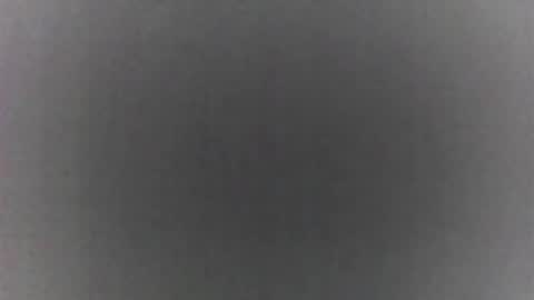 Snapshot of roberttocumcum chatting on February 2026 09:11:02 PM roberttocumcum online show from February 2026 09:11:02 PM