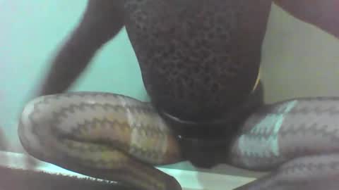 Snapshot of roberttocumcum chatting on February 2026 12:30:02 AM roberttocumcum online show from February 2026 12:30:02 AM