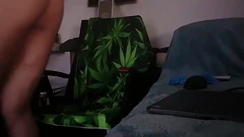 Zenek online show from February 2026 08:02:01 AM