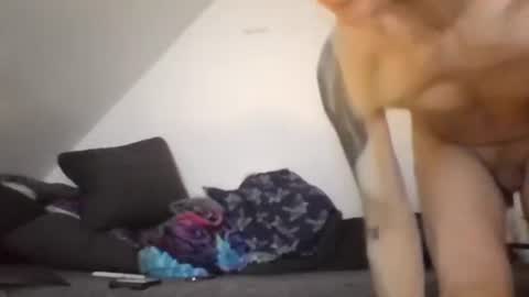 Zenek online show from February 2026 08:13:01 AM