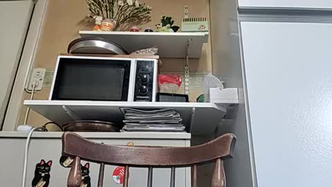 robke1966 online show from April 2026 05:52:01 AM