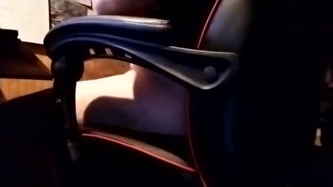 Snapshot of robonuts2004 chatting on November 2025 06:35:01 AM Robo Nuts online show from November 2025 06:35:01 AM