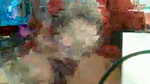 Snapshot of rocco1962 chatting on February 2026 11:48:02 AM Rocco aka DaddyRoc online show from February 2026 11:48:02 AM