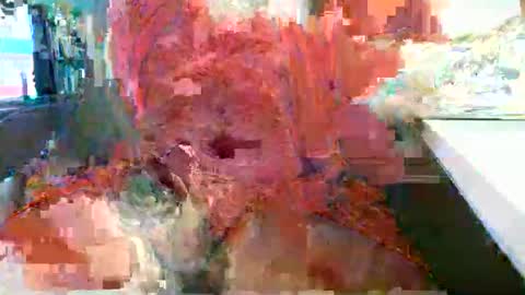 Snapshot of rocco1962 chatting on February 2026 12:12:01 PM Rocco aka DaddyRoc online show from February 2026 12:12:01 PM