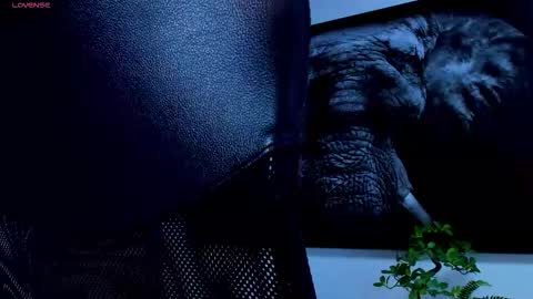 santos online show from February 2026 06:01:01 AM