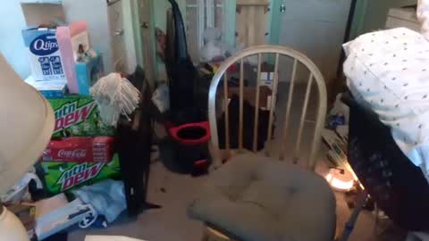 Snapshot of rocky082288 chatting on January 2025 01:24:01 PM rocky082288 online show from January 2025 01:24:01 PM