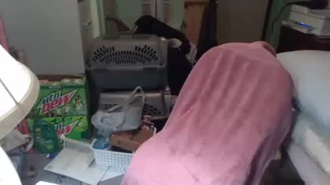 Snapshot of rocky082288 chatting on November 2025 10:26:02 AM rocky082288 online show from November 2025 10:26:02 AM