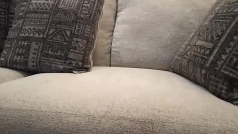 roger59267 online show from October 2025 07:59:01 PM