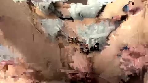 roidrager44 online show from March 2025 03:45:02 PM