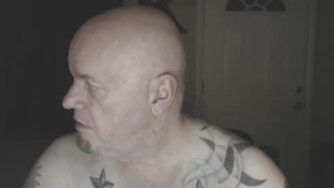 roinaz online show from March 2026 06:28:01 AM