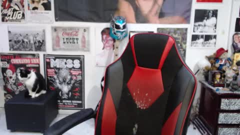 Rolly online show from December 2025 10:16:02 PM