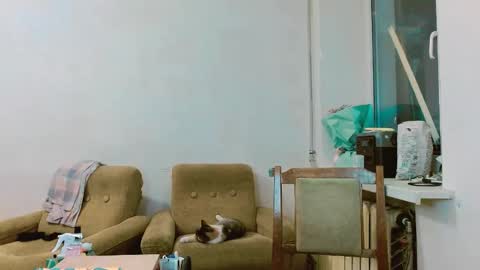 Snapshot of rosa843850 chatting on February 2025 01:47:02 PM rosa843850 online show from February 2025 01:47:02 PM